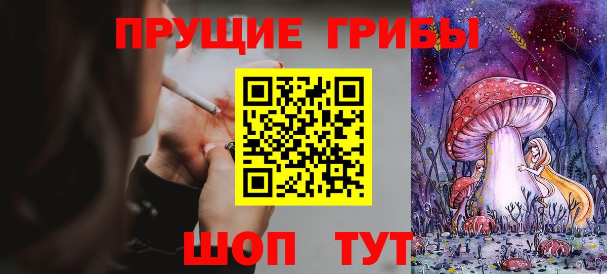 Клин  цена   Вход с VPN  Галлюциногенные грибы Cubensis 